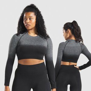 Adapt Ombre Seamless Long Sleeve Crop Top